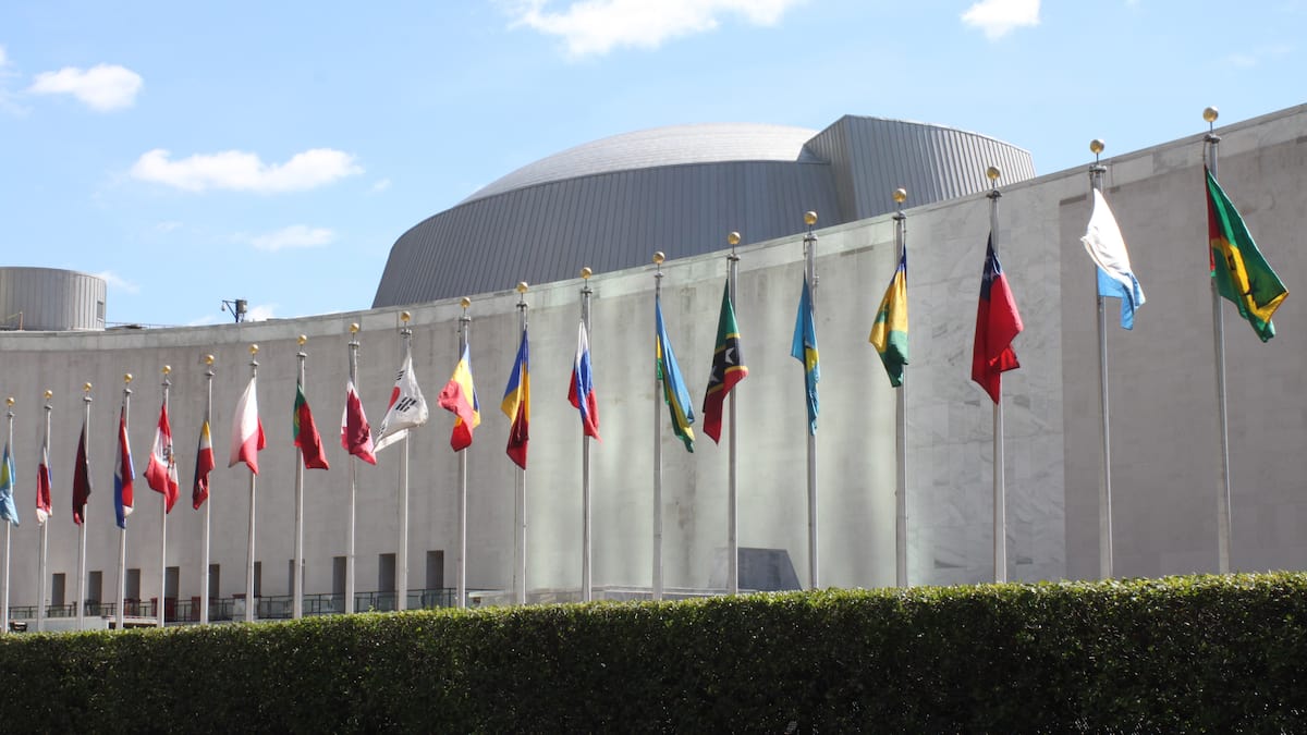 Russia and UN on Fertilizer and Grain Exports Russia and UN on Fertilizer and Grain Exports