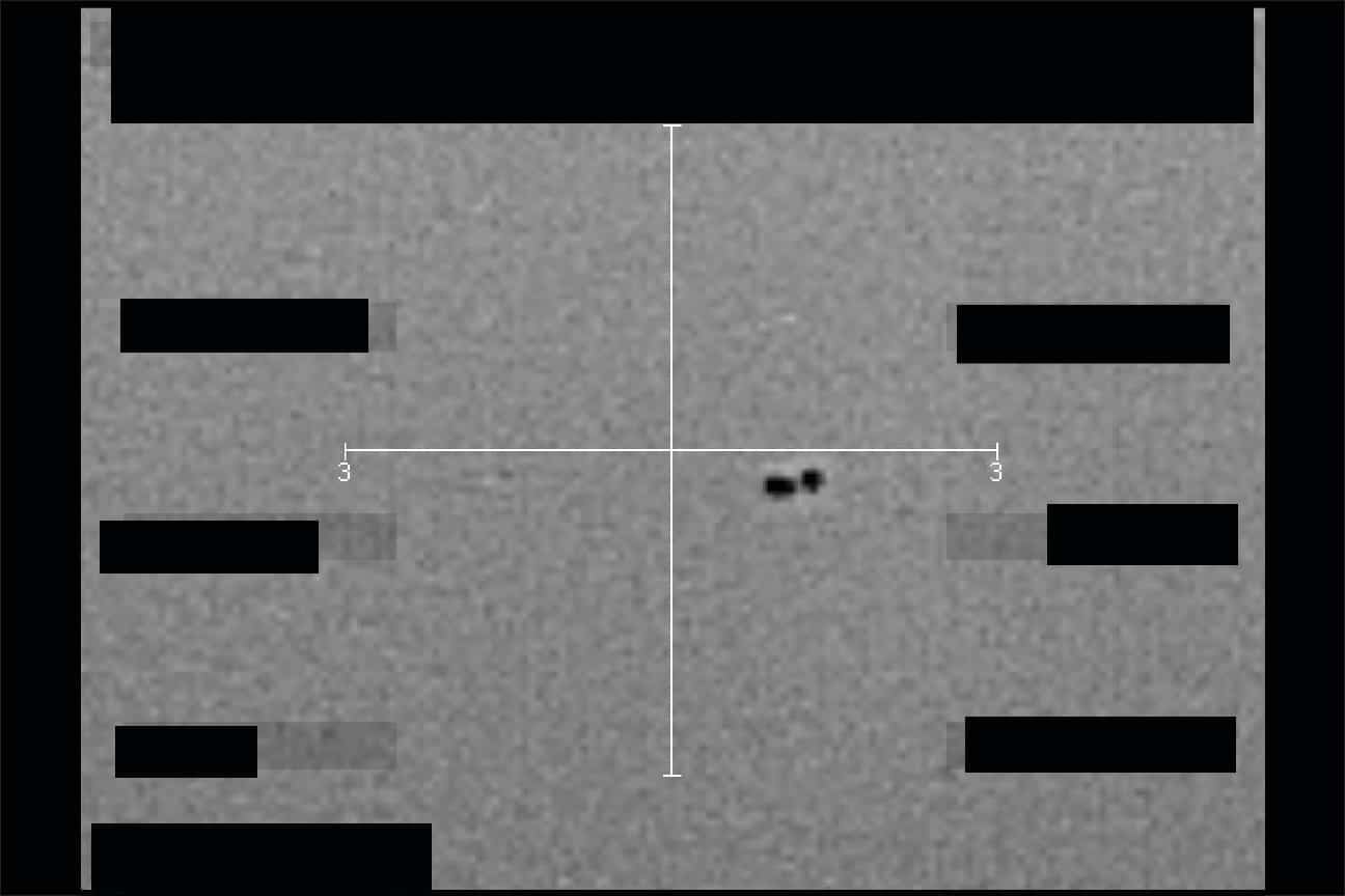画像で |円盤、球体、空飛ぶ円盤：国防総省がUFOに関する文書を公開