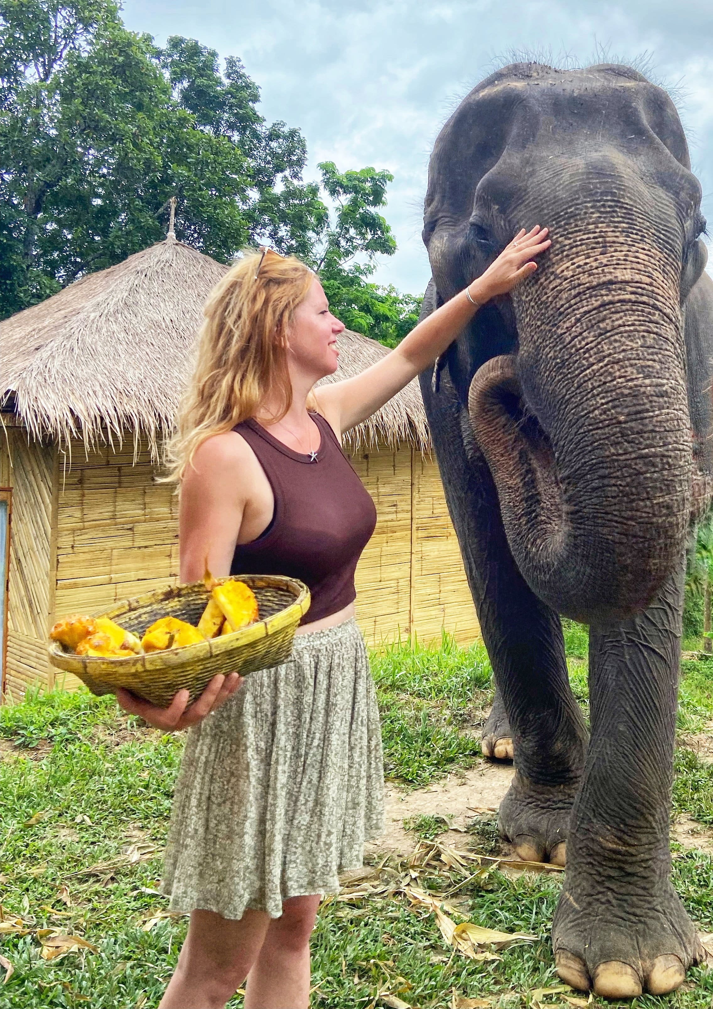 Voyager autrement : voici comment on peut admirer respectueusement les &eacute;l&eacute;phants en Tha&iuml;lande