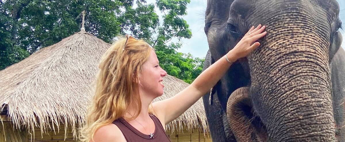 Voyager autrement : voici comment on peut admirer respectueusement les éléphants en Thaïlande