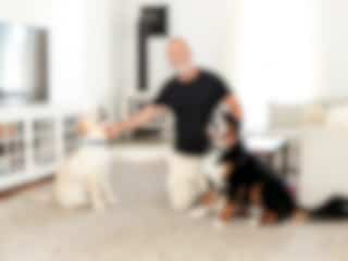 Voyez la maison ancestrale de Dave Morissette