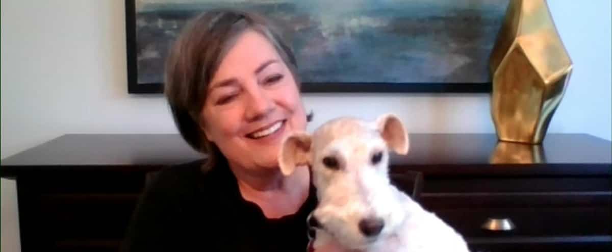 Une chienne retrouvée 300 jours plus tard