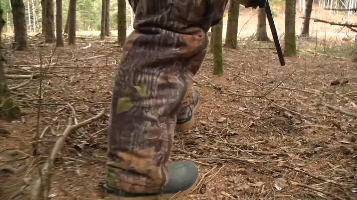 Hausse des signalements pour braconnage