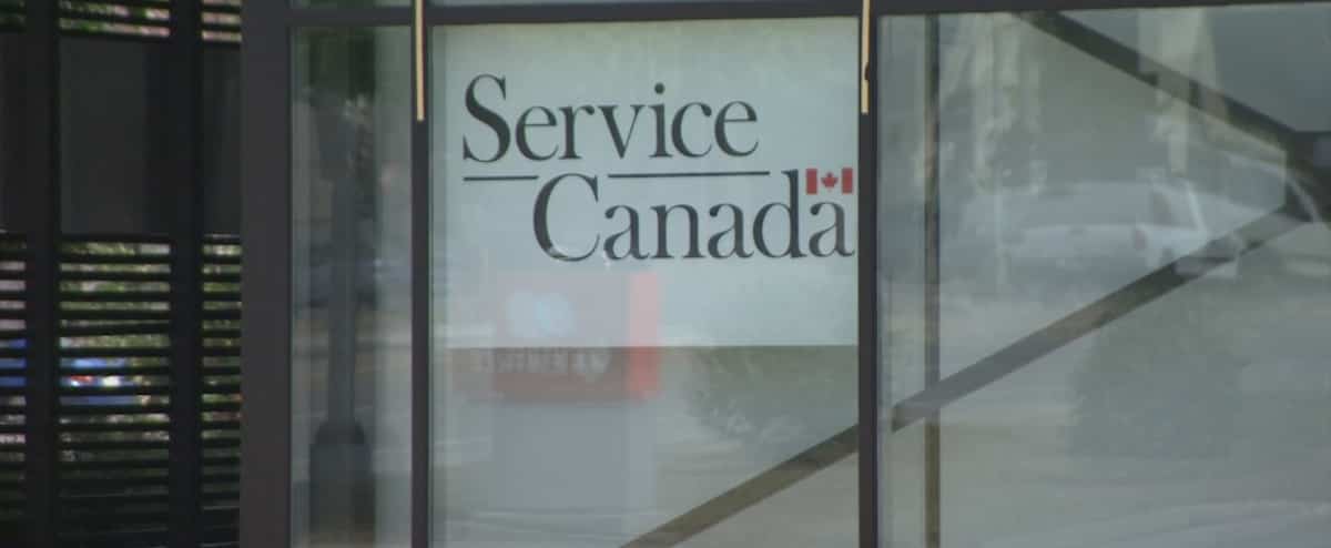 Réouverture progressive des centres de Service Canada | JDQ