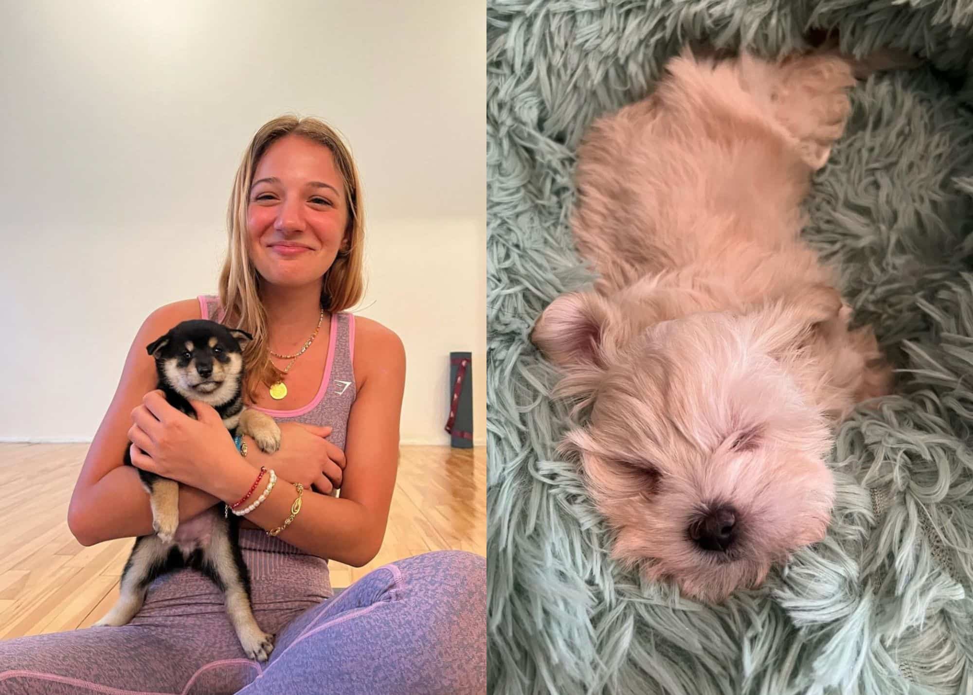 Faites du yoga avec des chiots, à Montréal