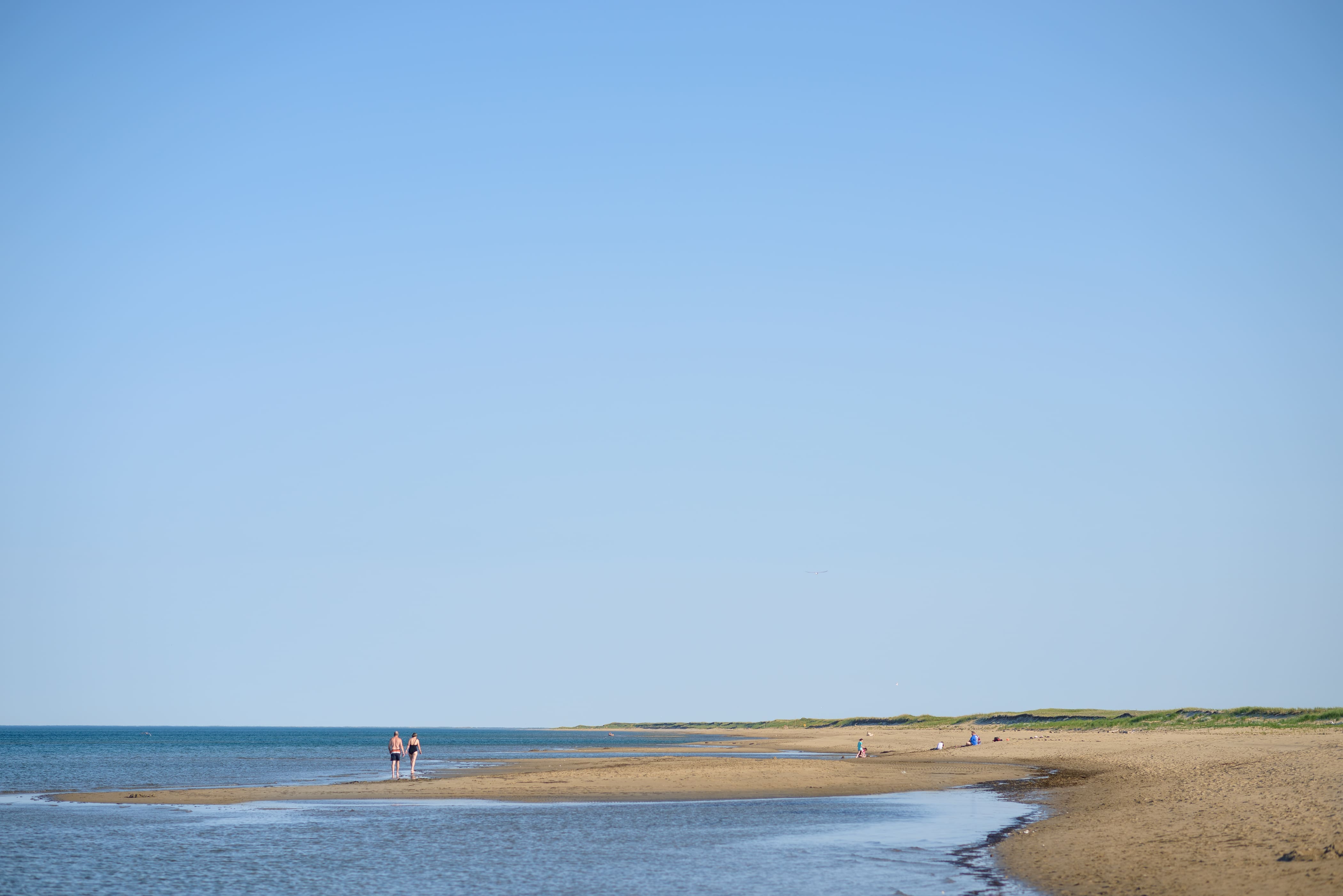 P&ecirc;che ill&eacute;gale: 88 000 $ d'amende pour avoir ramass&eacute; des palourdes... au lieu de coquillages de plage