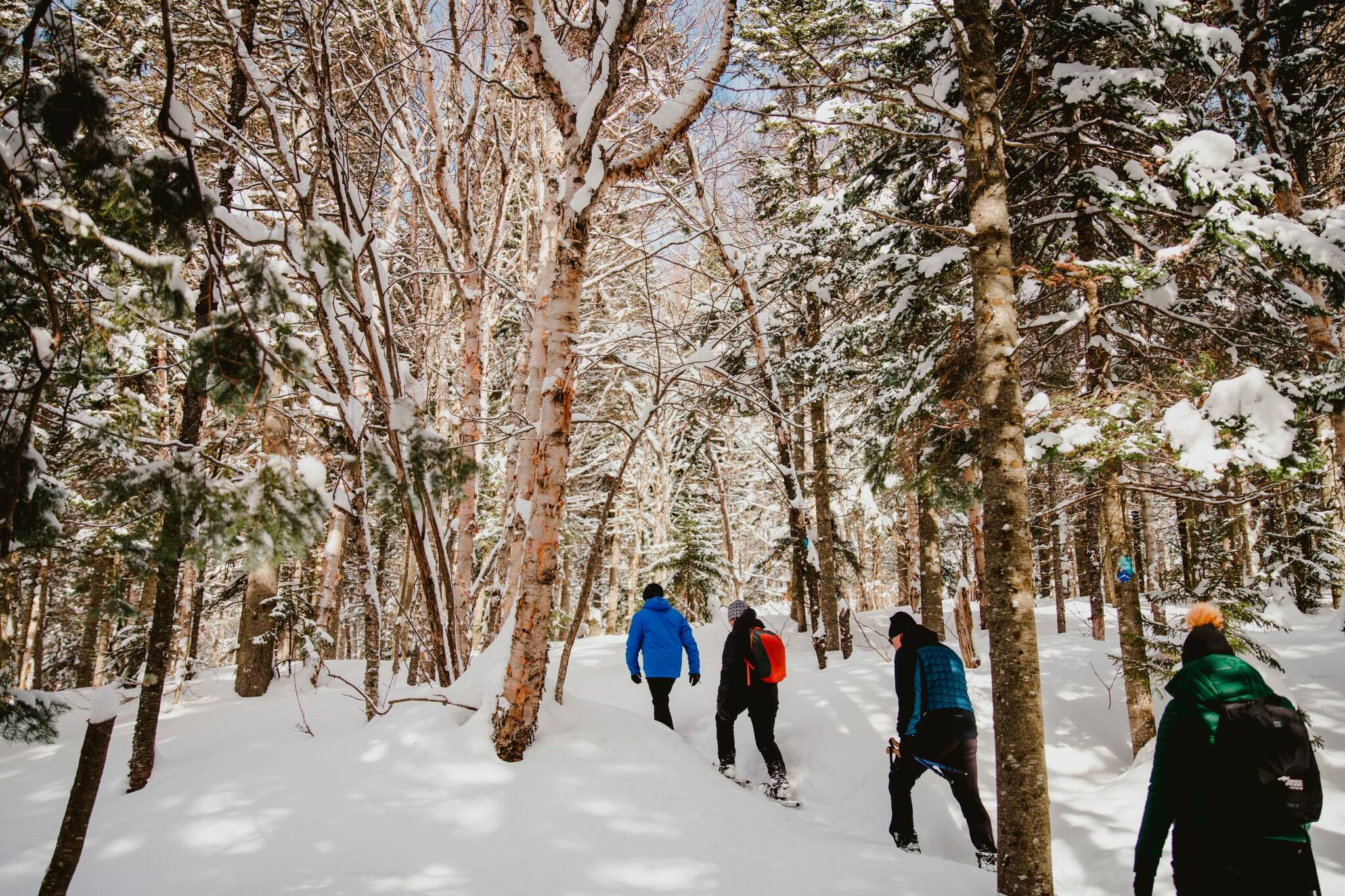 D&eacute;fi: 5 randonn&eacute;es difficiles &agrave; faire en raquette cet hiver