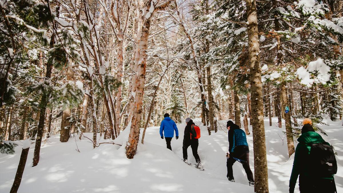 Défi: 5 randonnées difficiles à faire en raquette cet hiver