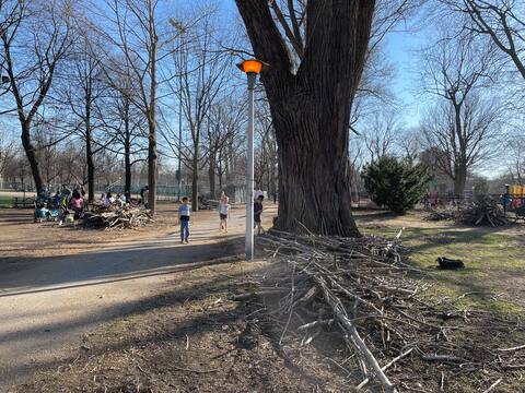 Many branches were still strewn across the park floor due to the ice storm that occurred nearly two weeks ago.