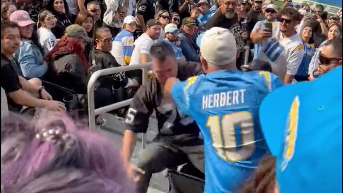 Match Boxe Gradins Beaucoup de violence dans les gradins durant un match de la NFL | JDM