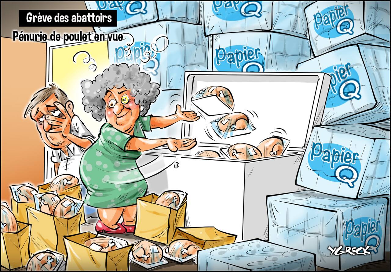 La Caricature D Ygreck Le Journal De Quebec