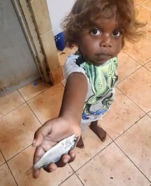 Una niña de Lagamano, Australia, sostiene un pez que cayó del cielo.
