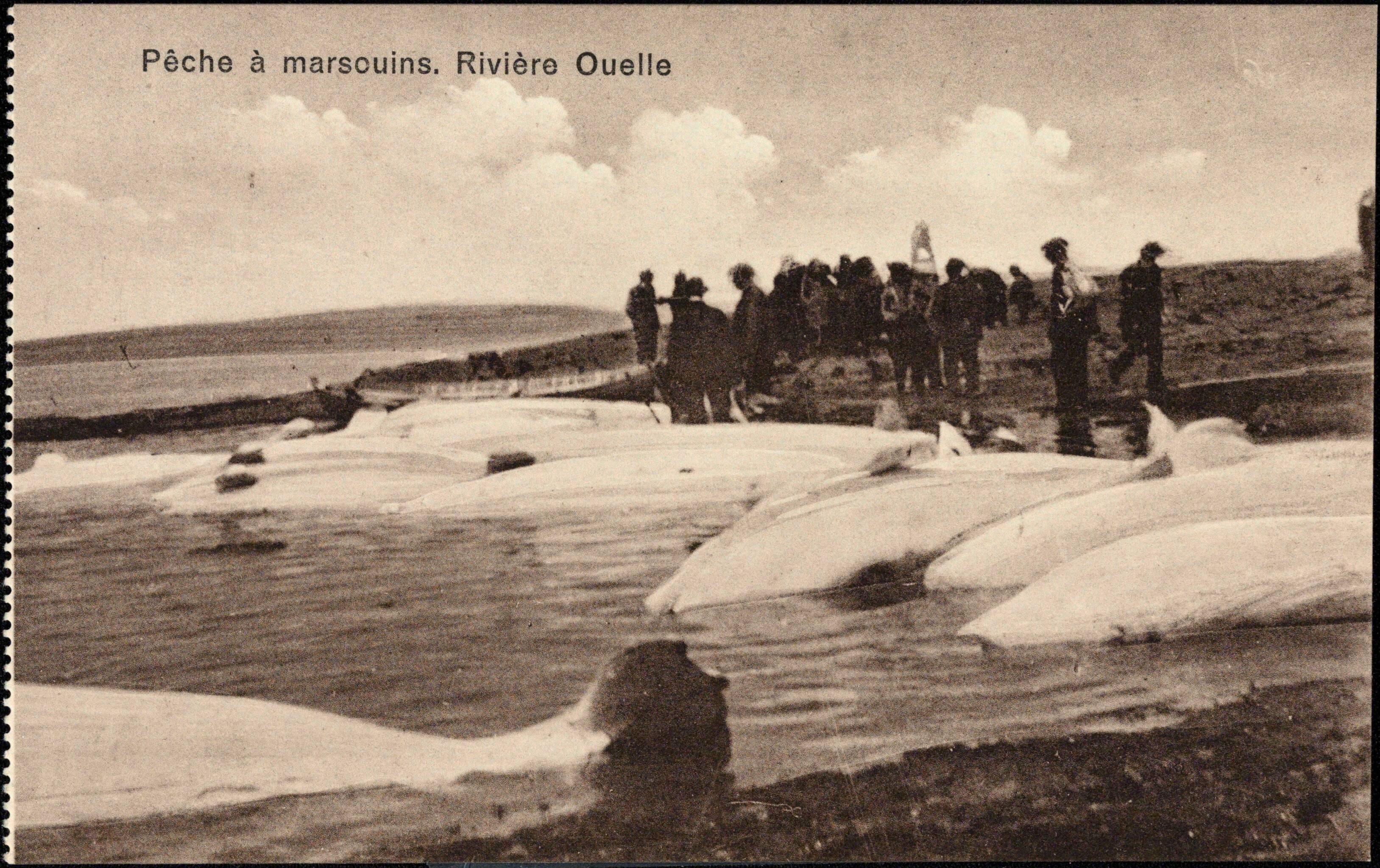[EN IMAGES] Voici cinq choses à savoir sur l’évolution de notre ...