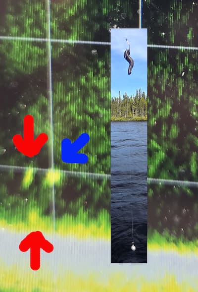 Pour vous donner une idée de la Puissance de la détection du livescope, vous voyez en mortaise une présentation nomest šāvienu Avec une nodzen. Salīdzinājumā ar les lignes rouges, vous apercevez le lest et l'apât à 18 pi de profondeur et à 20 pi de distance de la chaloupe. Le Point sous la flèche Bleue est Un doré qui s'intéresse à la bestiole. Il est alors facile de prédire la réaction du percidé lors de don piedevas.