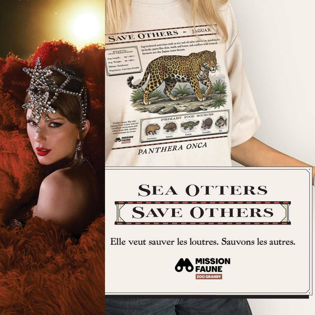 Ce spot québécois chouchou reprend l'initiative