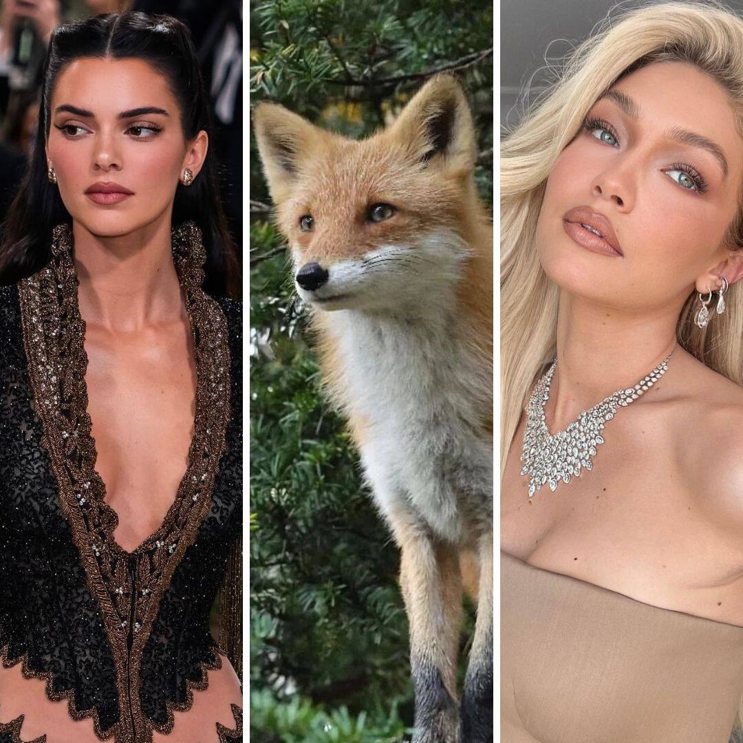 On trouve notre animal sosie pour un look réussi