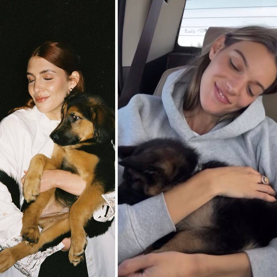 10 stars qui ont adopté un chien avant 2025