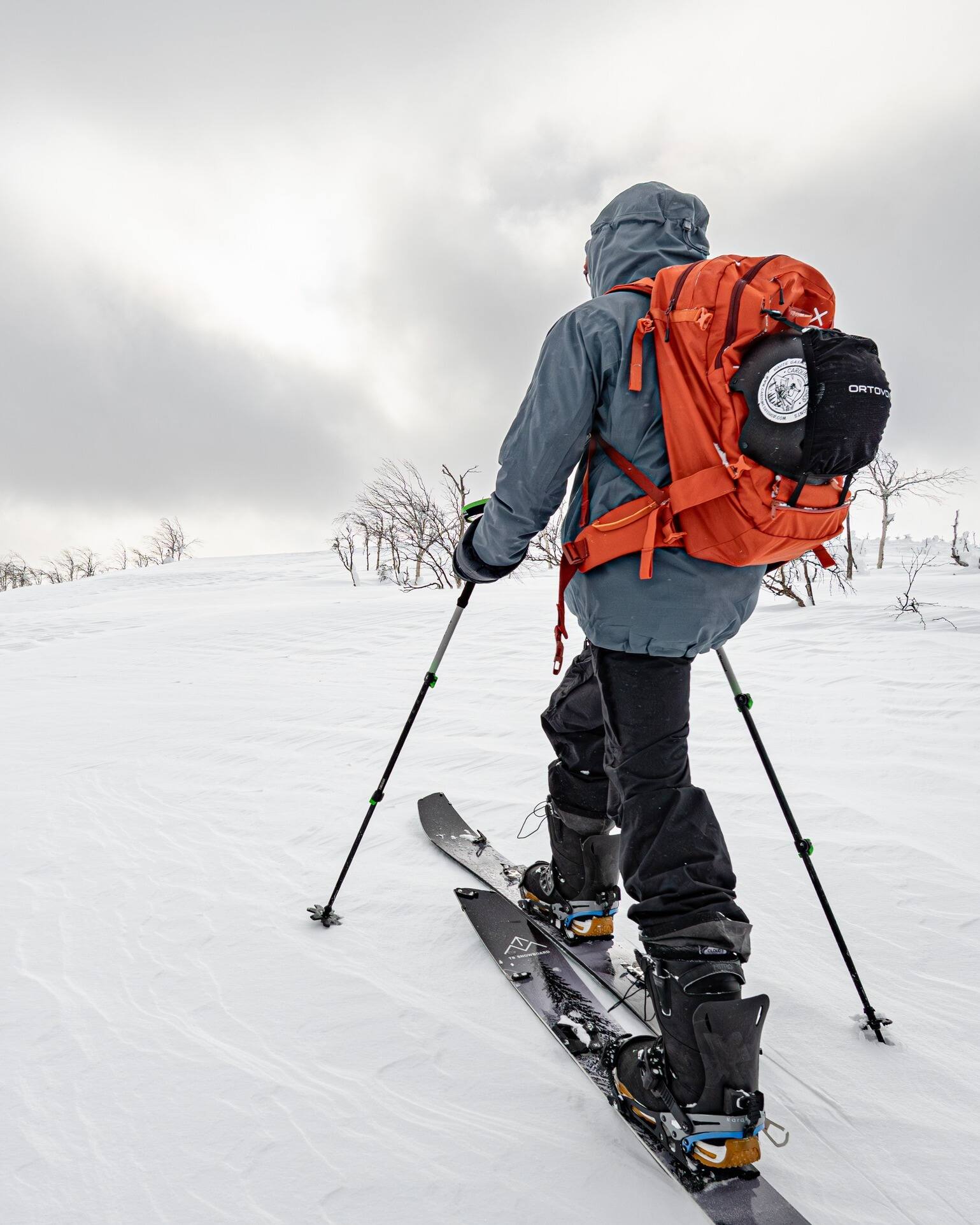 Une planche, deux skis | Le Journal de Québec