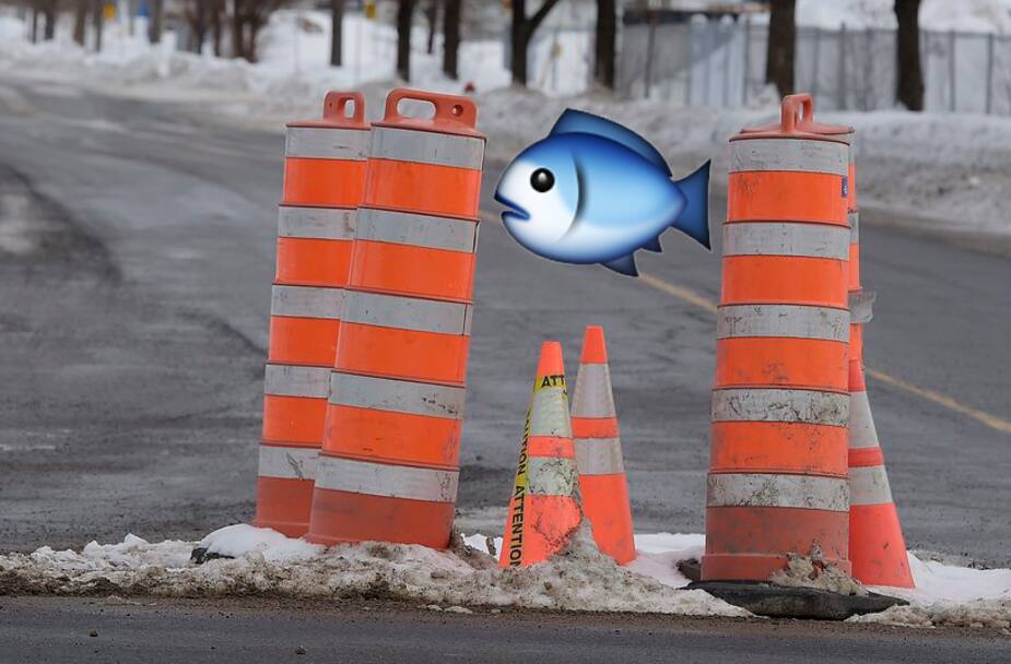 Une famille de cônes orange qui traverse la rue.