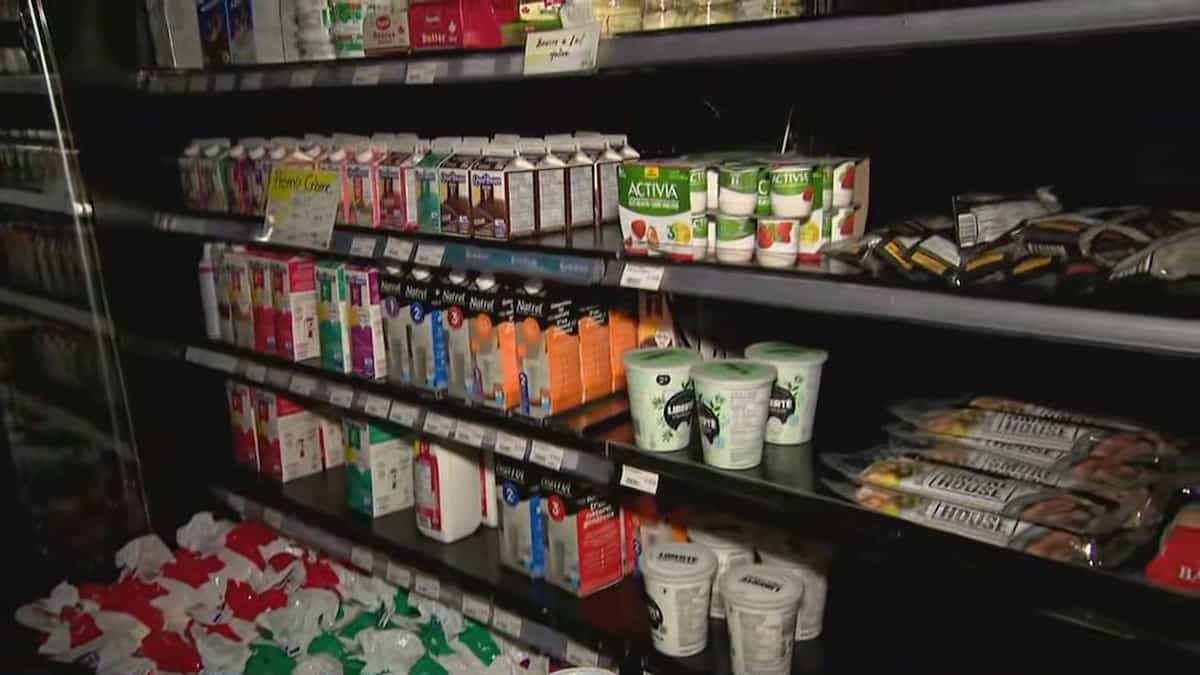 Privés d'électricité en raison du vent: des commerçants s’organisent dans les Laurentides