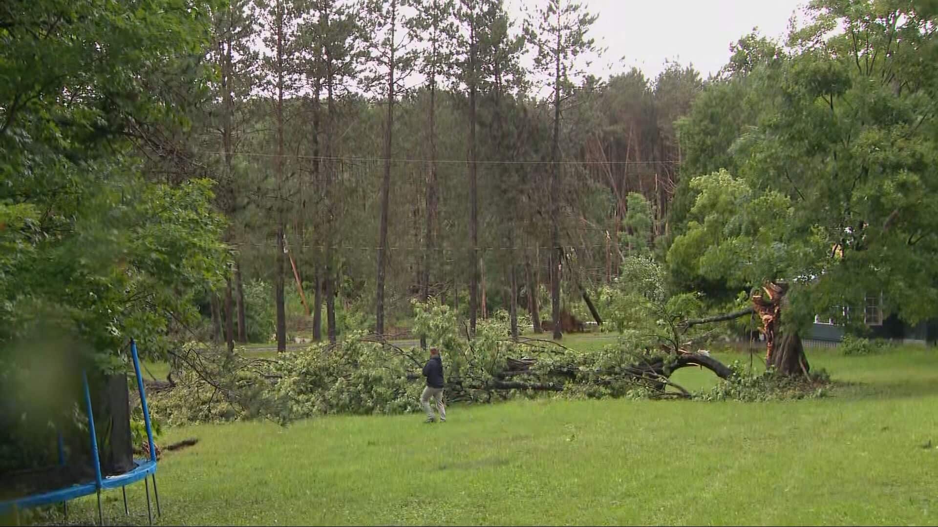 Arbres déracinés autour de sa roulotte: une campeuse raconte le passage de la possible tornade dans les Laurentides
