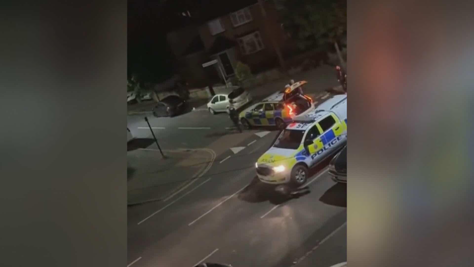 EN VID&Eacute;O | Une vache en fuite happ&eacute;e par des policiers suscite l&rsquo;indignation