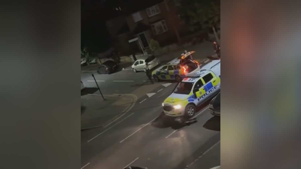 EN VIDÉO | Une vache en fuite happée par des policiers suscite l’indignation