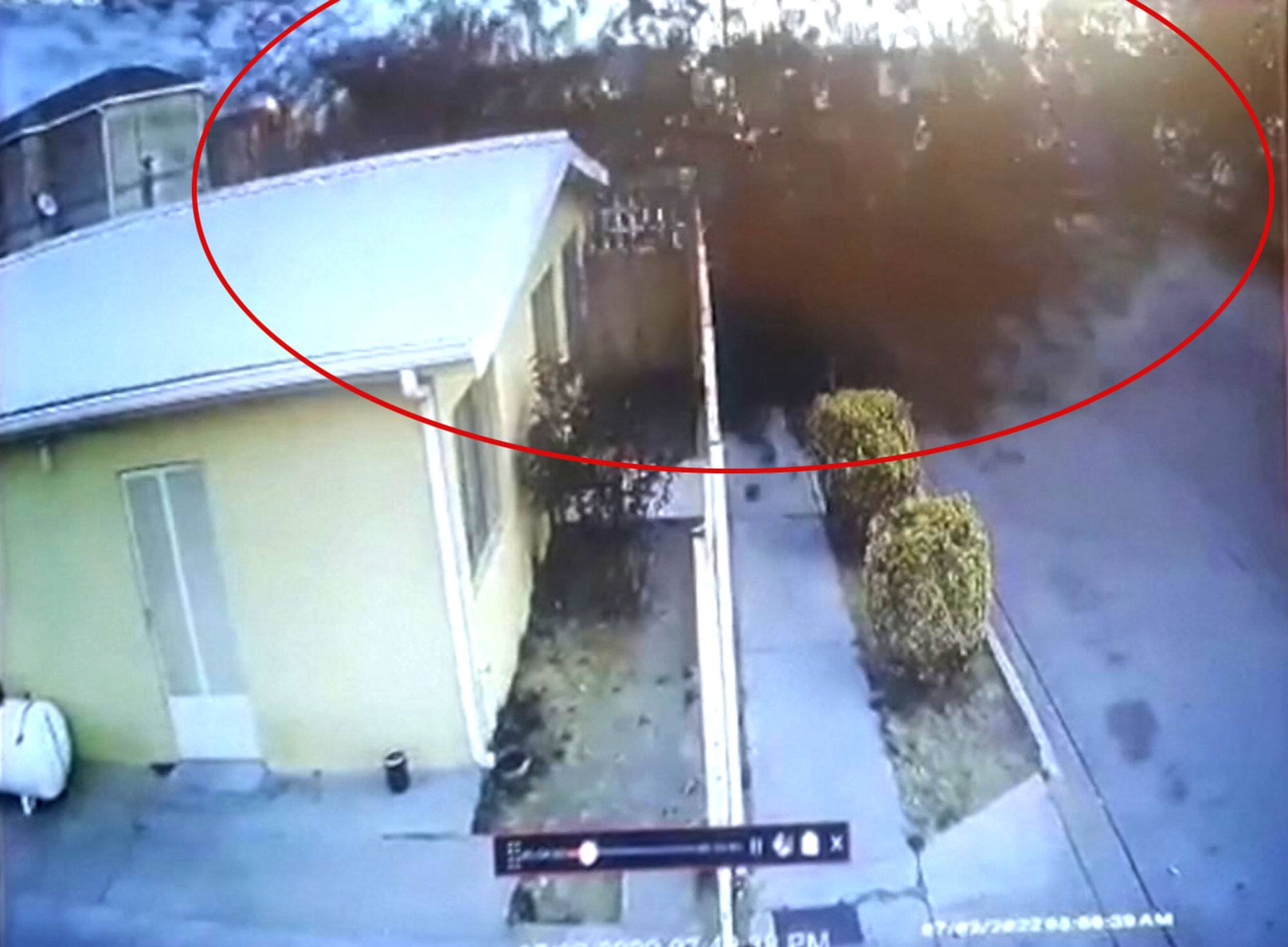 &Agrave; VOIR | Un immense nuage d&rsquo;oiseaux s&rsquo;effondre subitement au sol