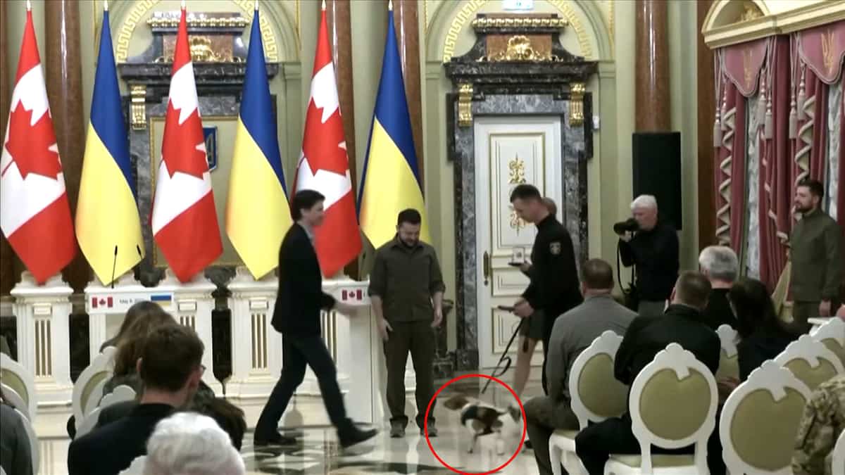 Un héros ukrainien se met à aboyer contre Justin Trudeau