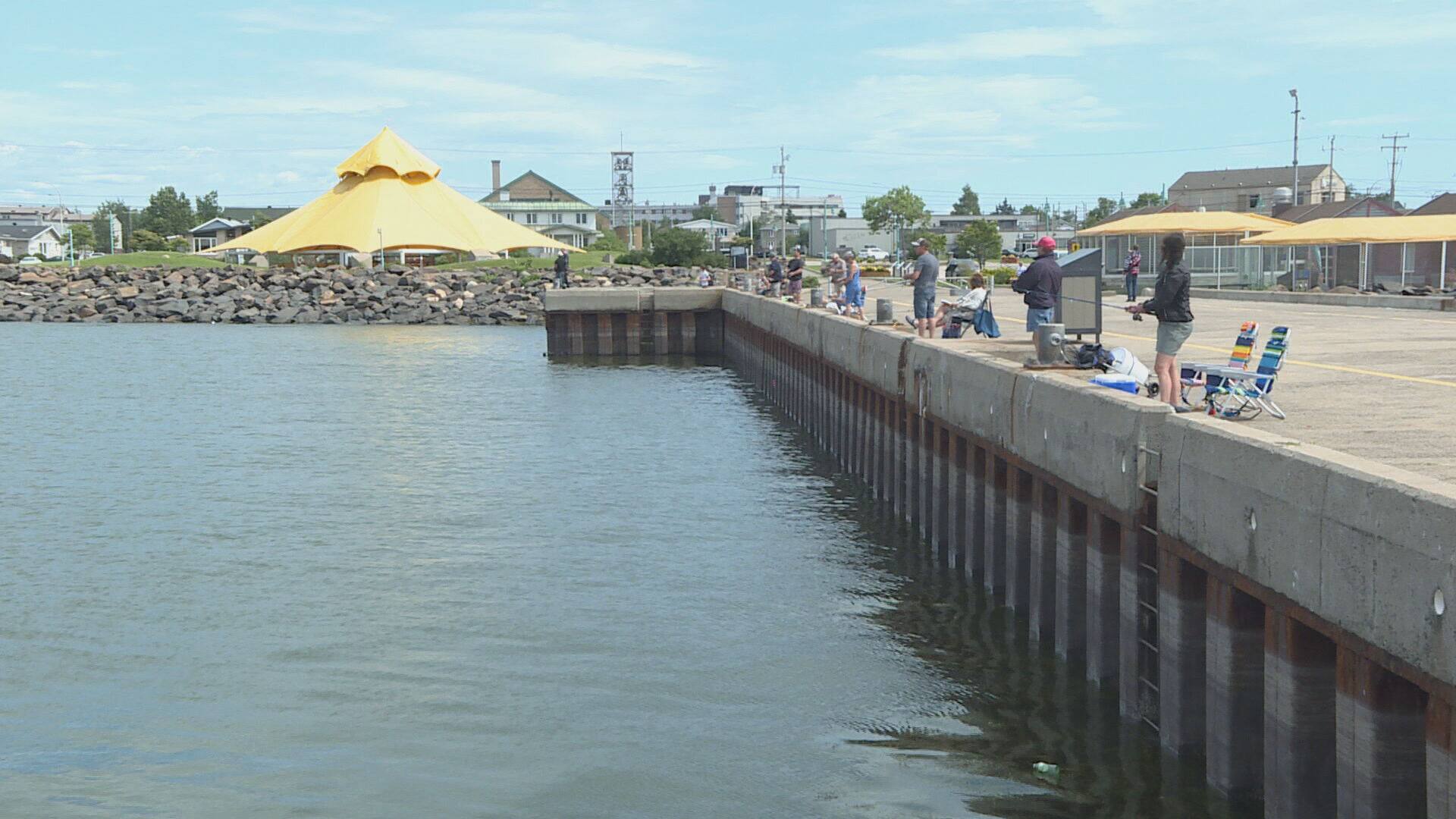 Le bar rayé une espèce menaçante pour le saumon? TVA Nouvelles