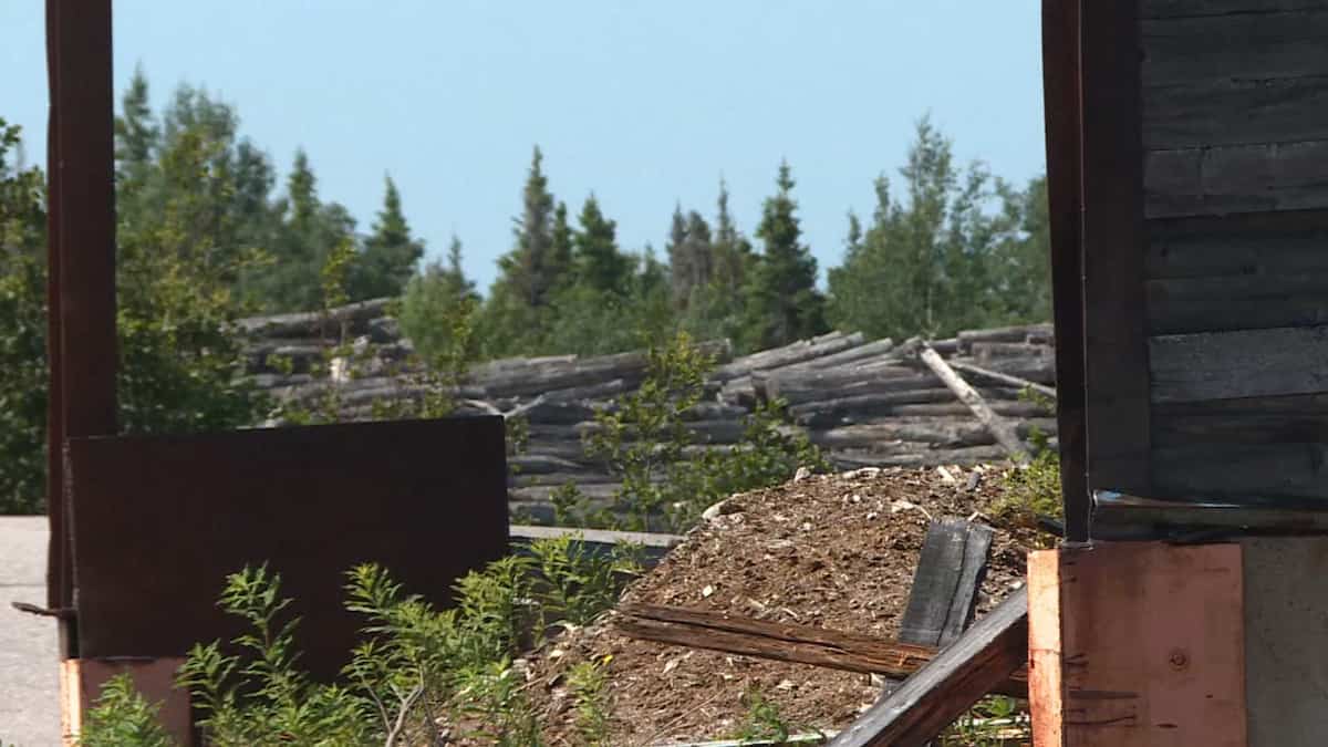 Un projet mystérieux à l'ancienne scierie de Baie-Trinité