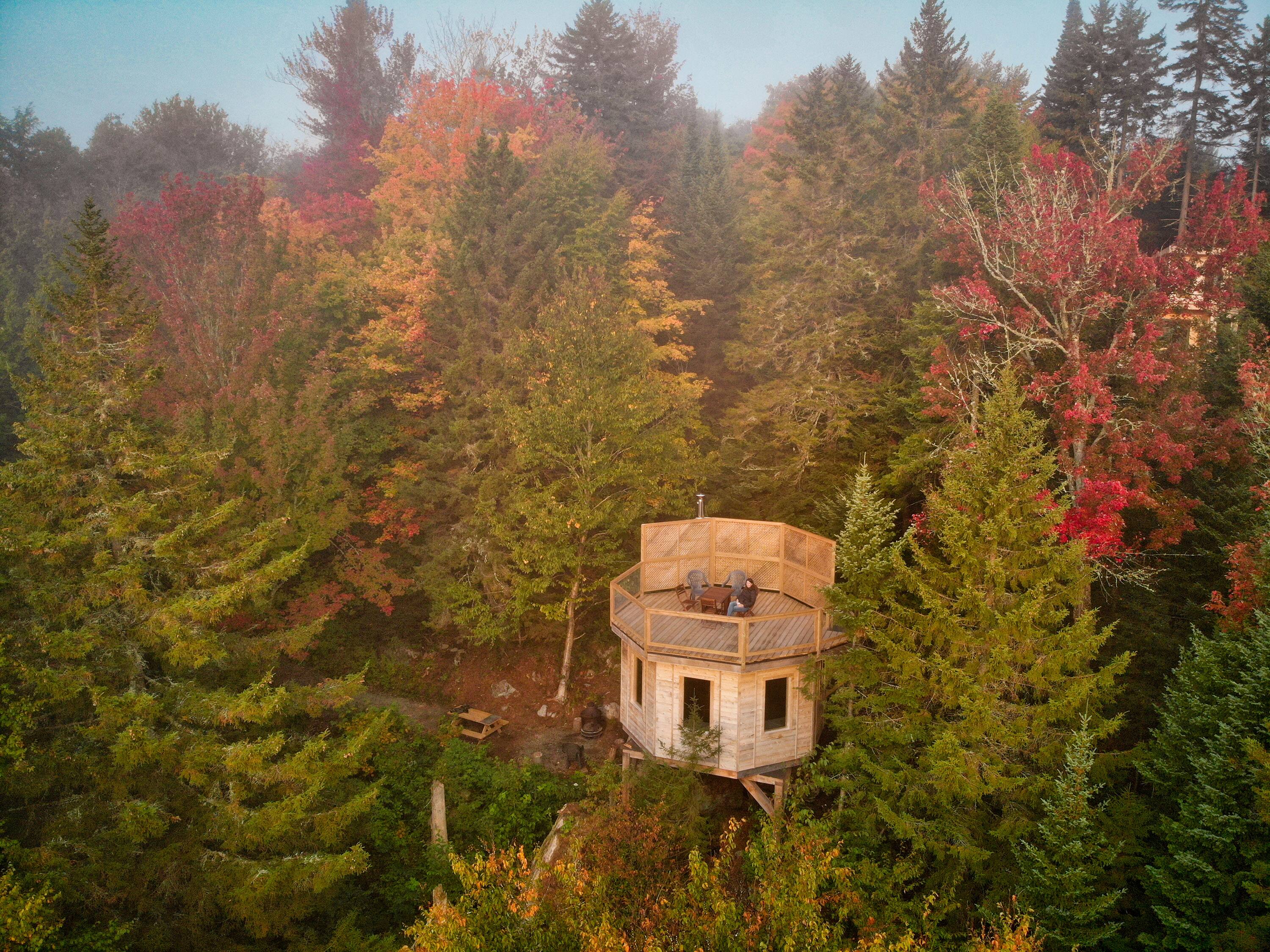 10 nouvelles cabanes dans les arbres à essayer