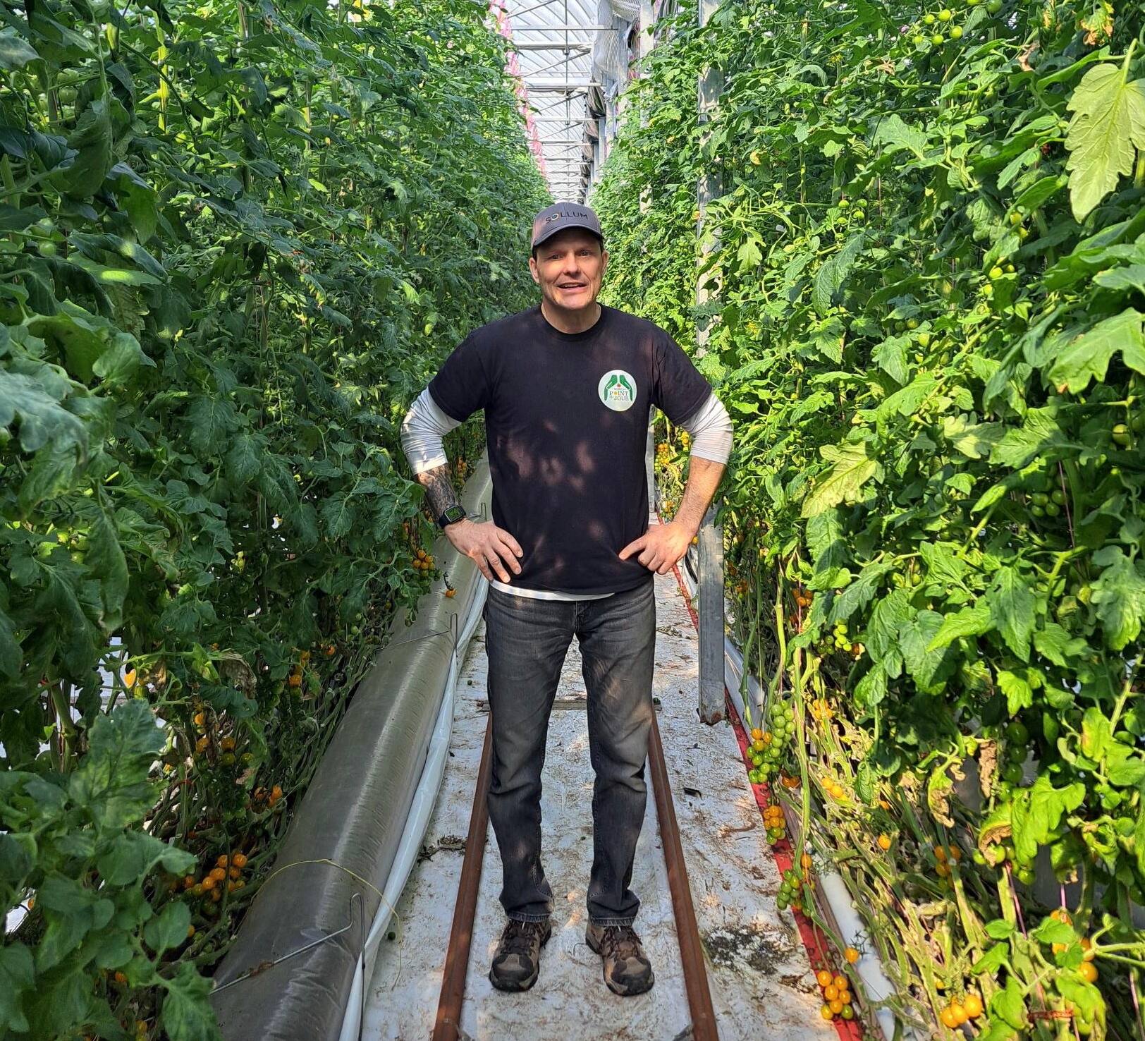 Des producteurs de tomates &eacute;cras&eacute;s par le dumping mexicain: &laquo;&Ccedil;a va faire mal&raquo;