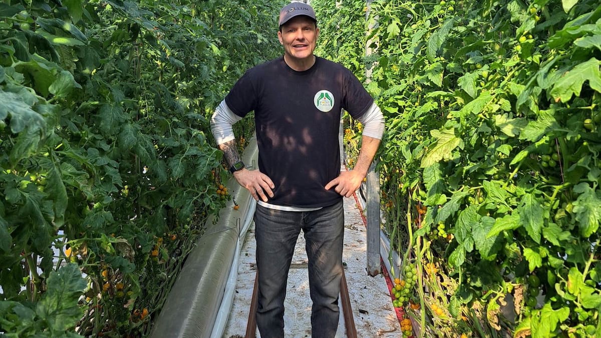 Des producteurs de tomates écrasés par le dumping mexicain: «Ça va faire mal»