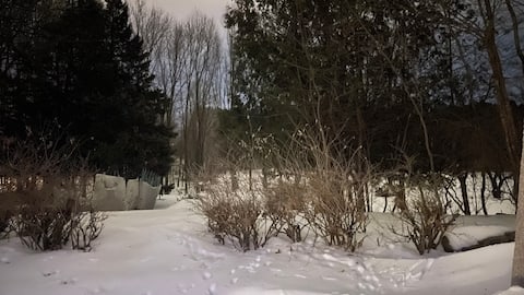 Noche de invierno con S22 Ultra