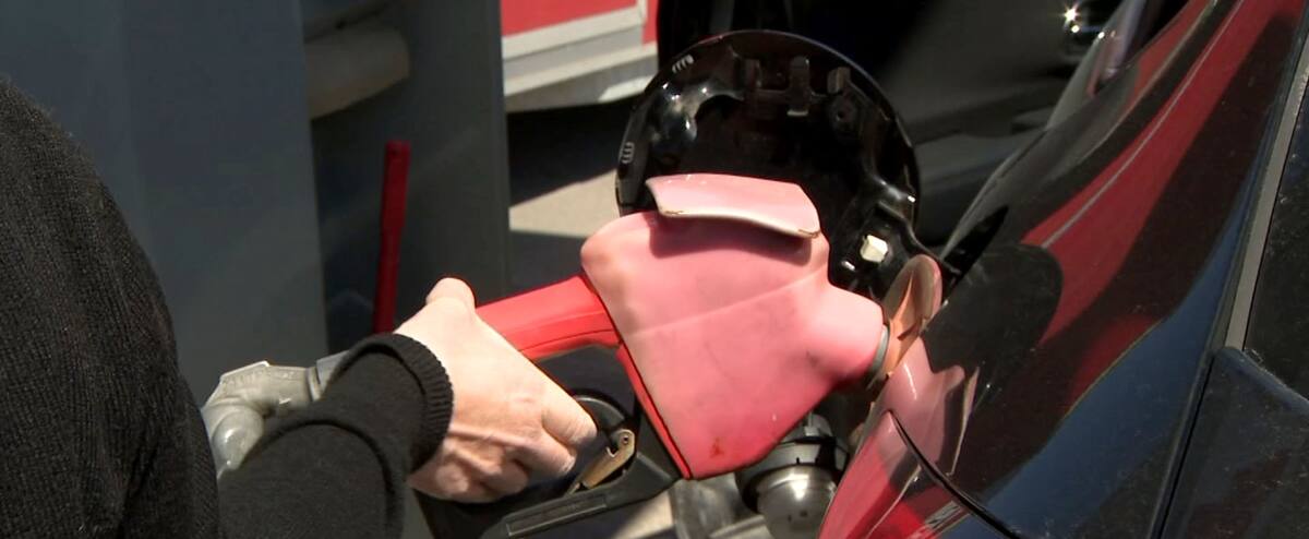 Des vacances à la maison en raison du prix de l'essence