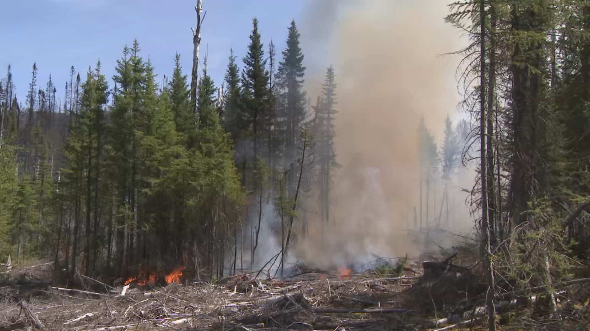 SaguenayLacSaintJean le temps chaud cause de nombreux feux de forêt