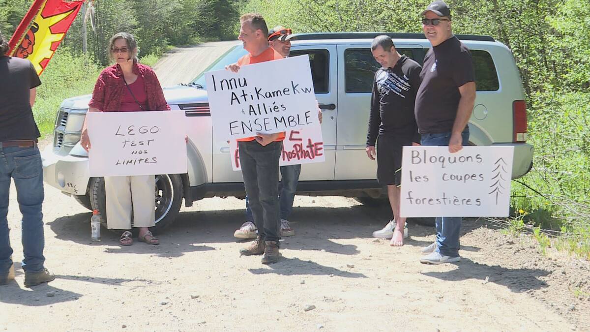 «Ils voient la forêt comme de l’argent»: des groupes innus forcent l ...