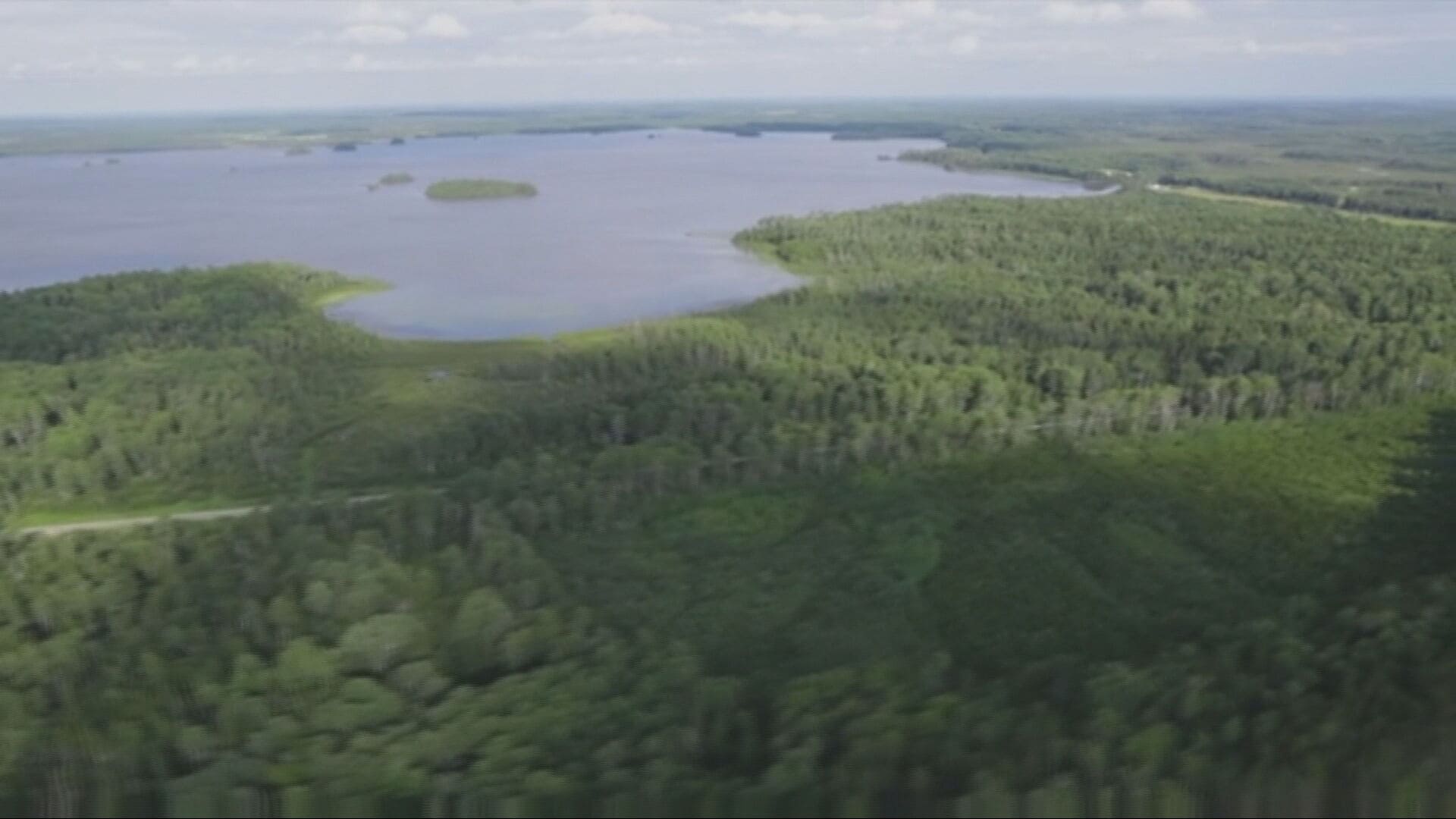 Québec annonce 365 M$ pour soutenir la forêt, mais l’incertitude demeure