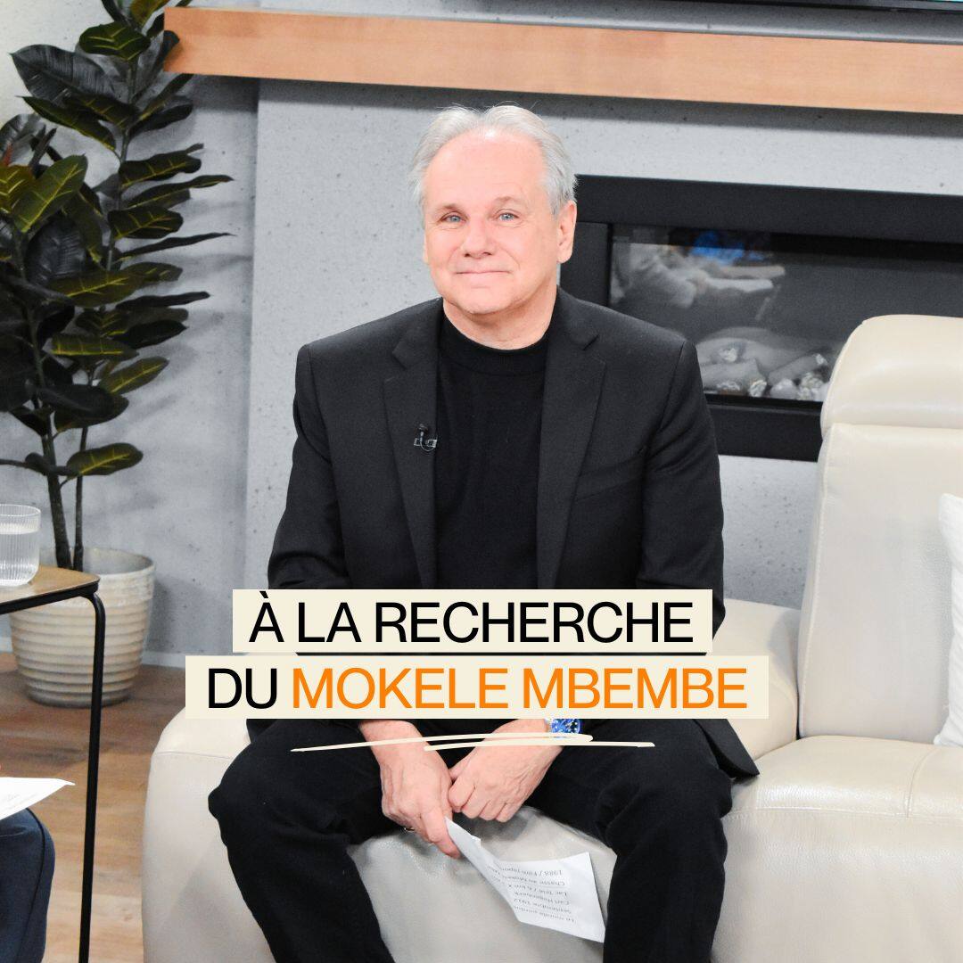 À la recherche du Mokele Mbembe...