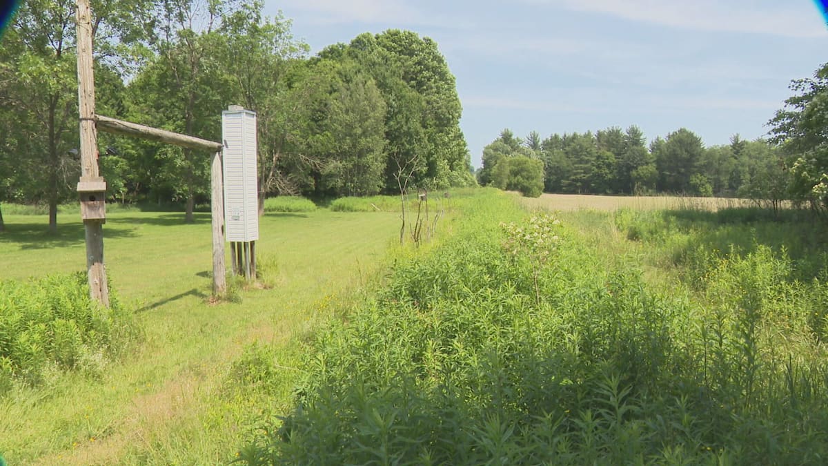 La municipalité de Saint-Armand en Estrie devenue un passage prisé par les migrants illégaux