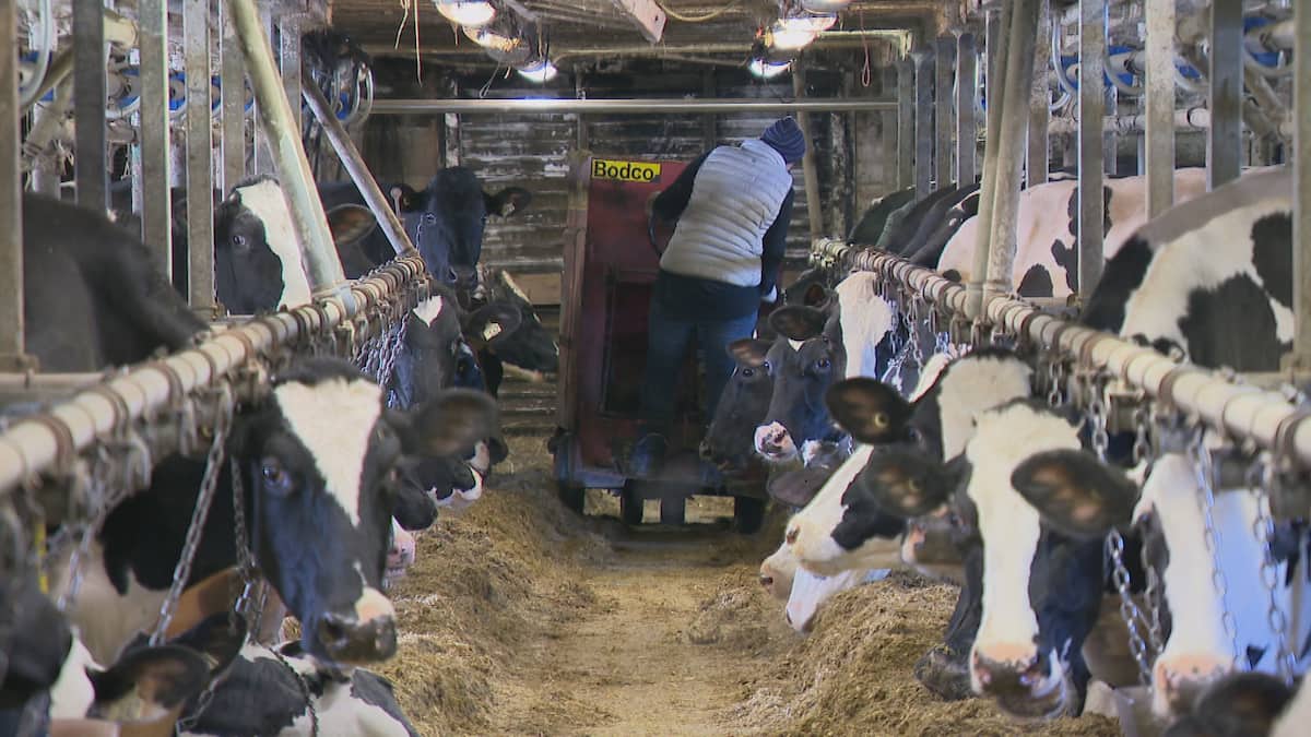 «Engouement exceptionnel»: un programme d’aide financière aux agriculteurs épuisé en seulement six minutes