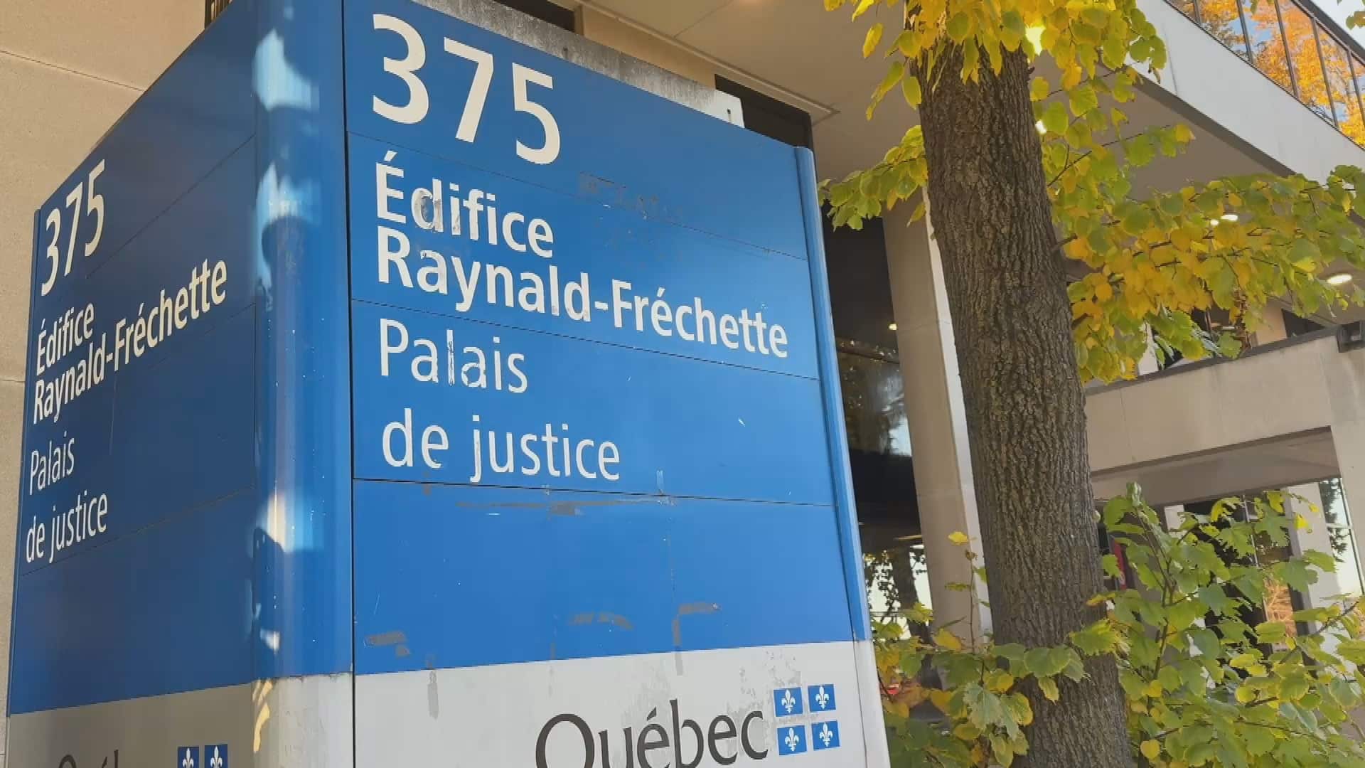 Procès d’un entraîneur équestre : une deuxième victime alléguée témoigne contre Dorian Escalon