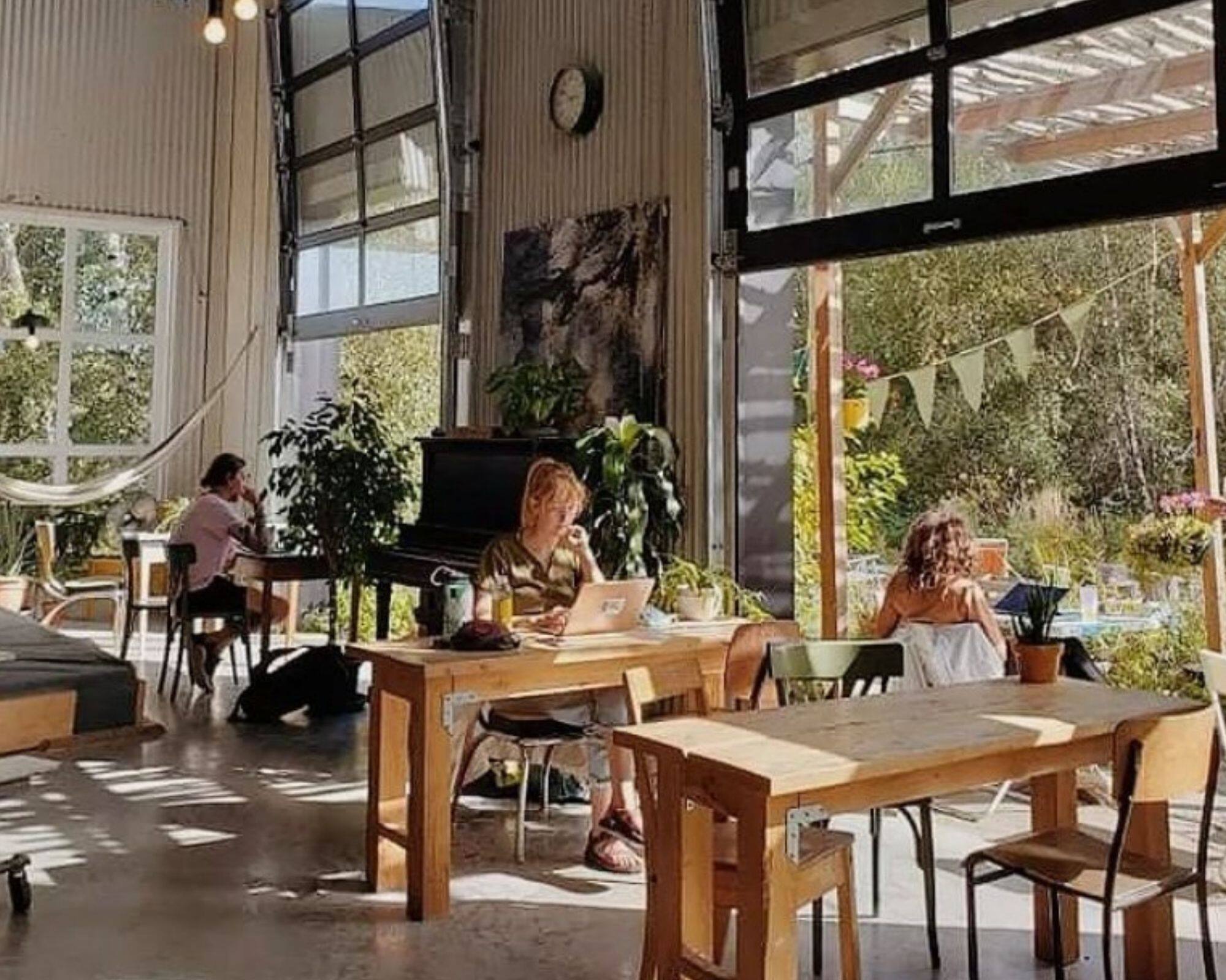 Des séances de «télé-grimpette» en pleine nature 