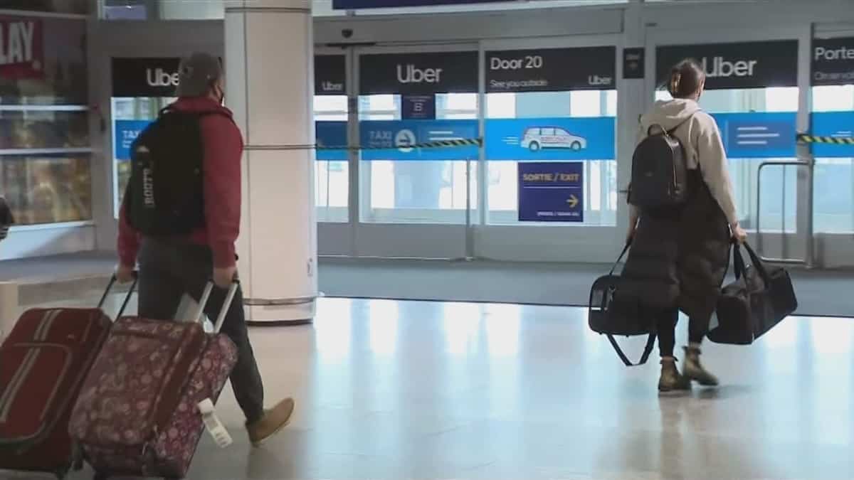 Snowbirds são incapazes de reconhecer suas vacinas Snowbirds são incapazes de reconhecer suas vacinas