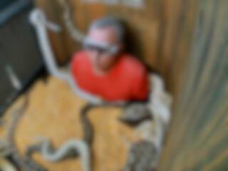 Un défi suffocant pousse Gino à la limite