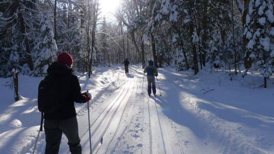 Image principale de l'article Top 10 des endroits pour faire du ski de fond