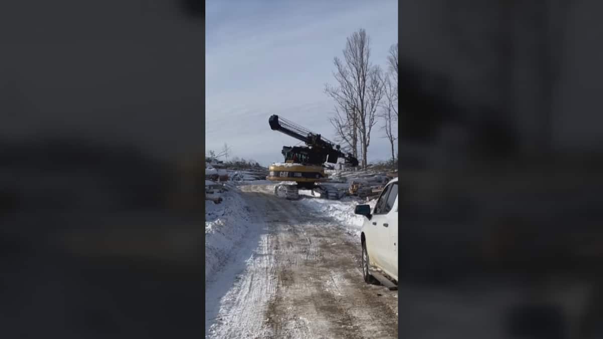 Coupe à blanc : des ententes bafouées par l’industrie forestière