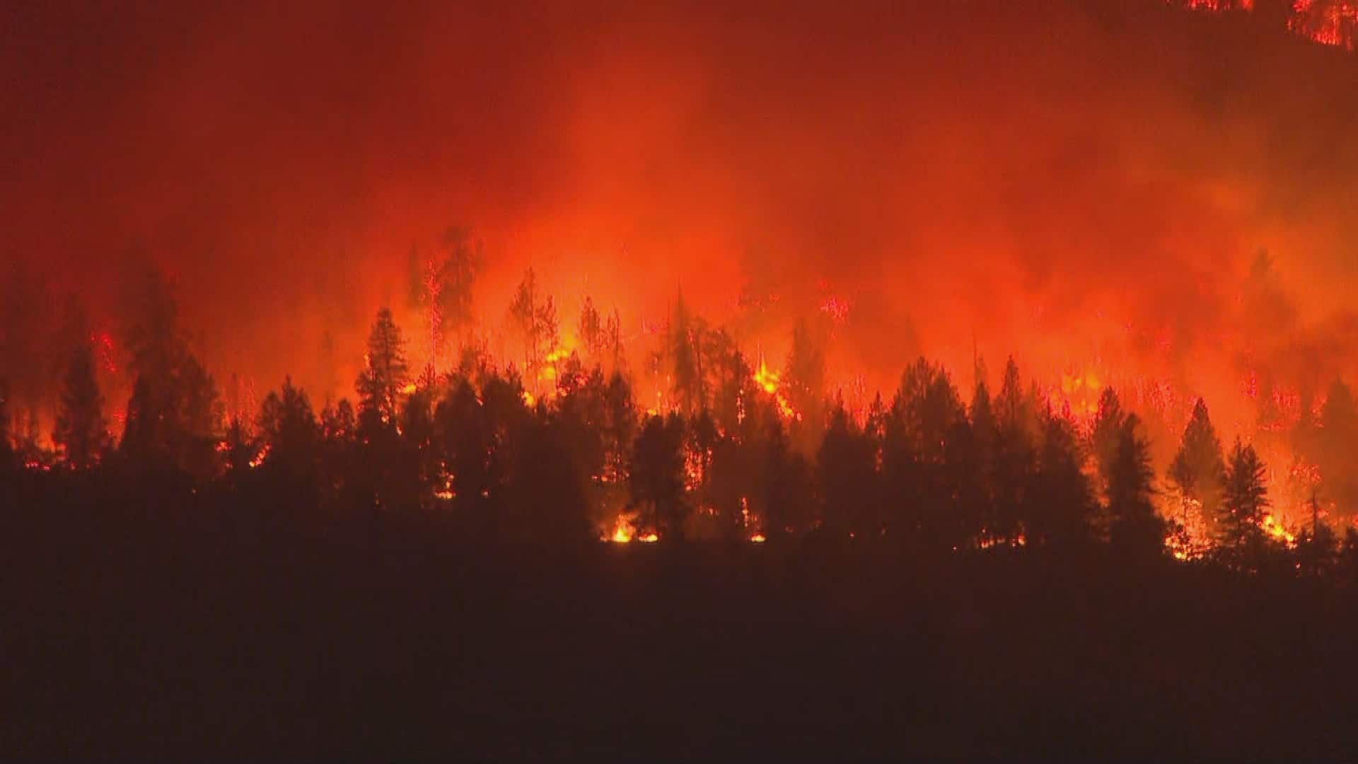 «Il pleuvait des cendres ce matin»: plus de 20 000 citoyens forcés d’évacuer alors qu’un violent feu de forêt prend de l’ampleur en Colombie-Britannique