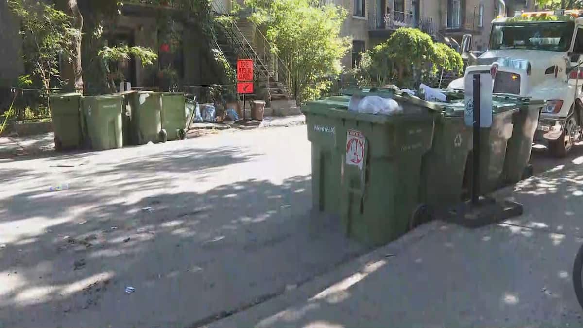 Collecte du recyclage chambardé: un coup de chaleur entraîne la ...